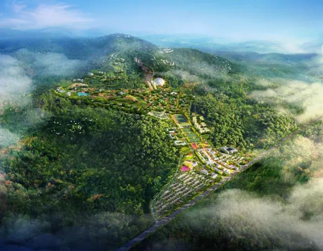 康养文旅四大开发问题解析 文旅规划与旅游开发项目策划咨询